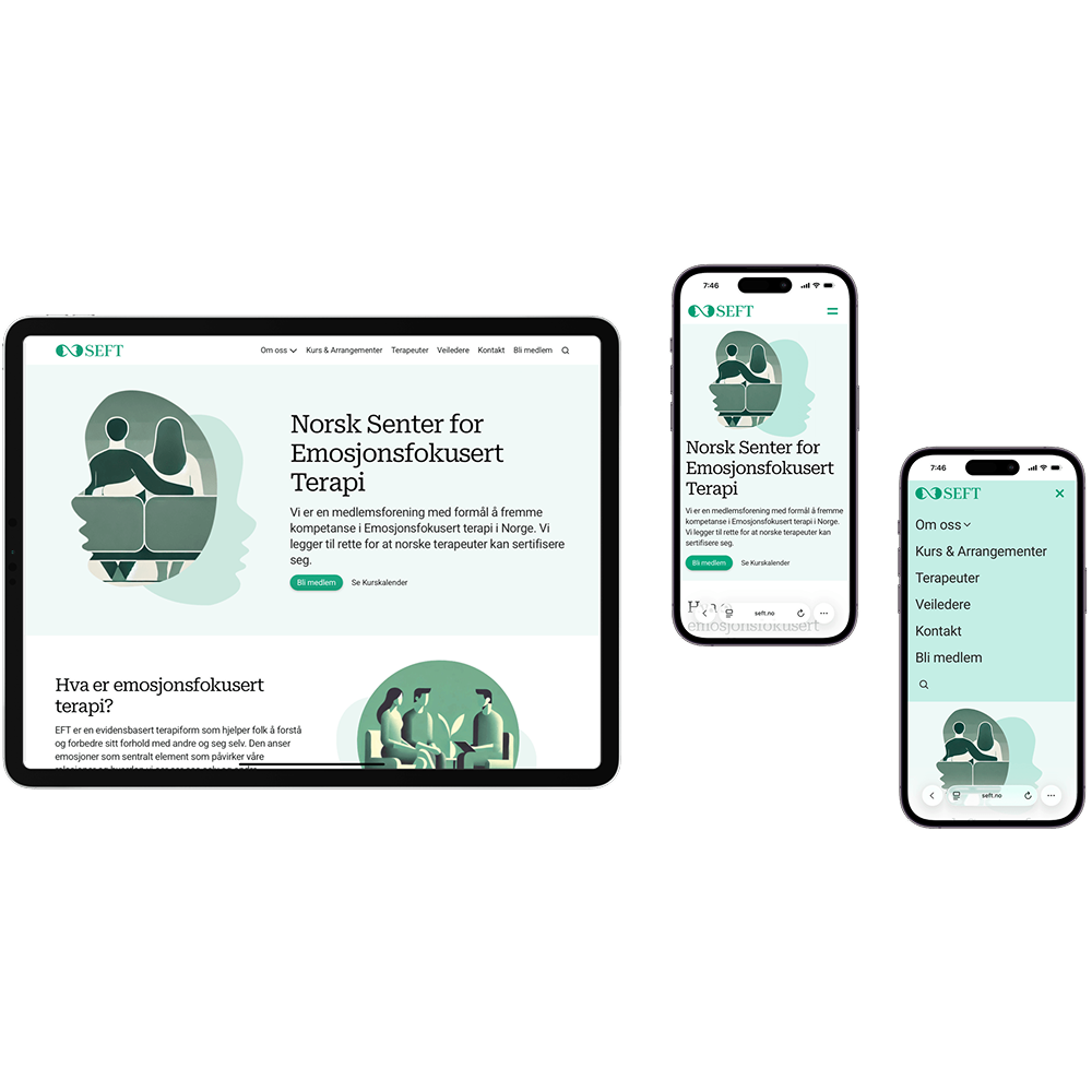 Screenshots of SEFT website